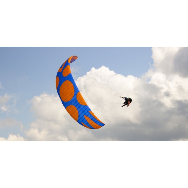 icaro-pandion-2-2500